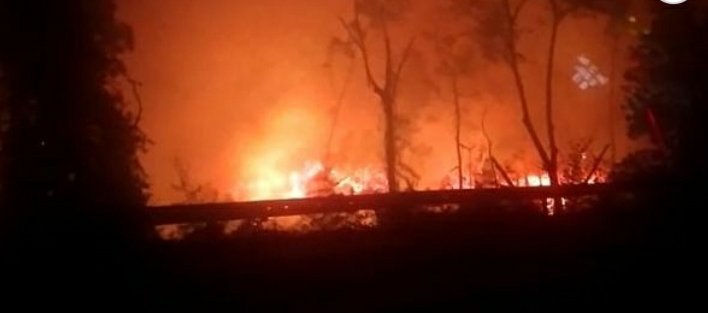 Incêndio de grandes proporções atinge Reserva Biológica de Sooretama