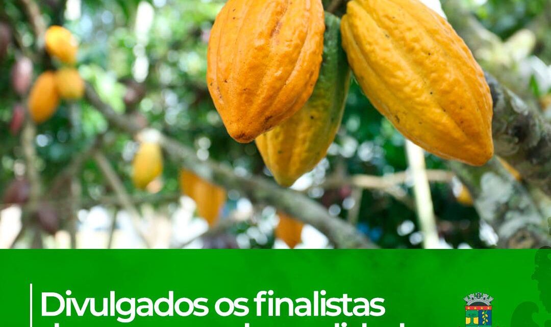 A Secretaria Municipal de Agricultura de Linhares divulgou nesta terça-feira (19) os finalistas do Concurso de Qualidade de Amêndoas de Cacau.