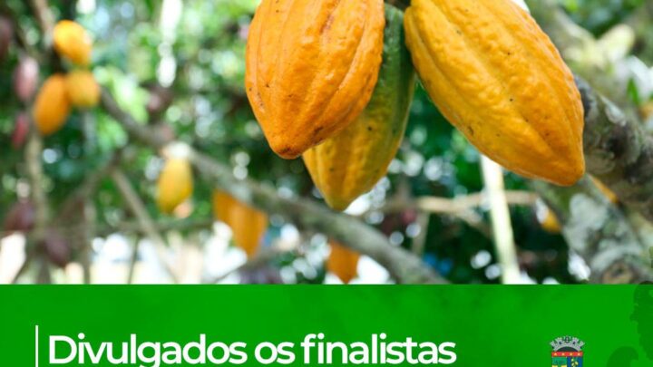 A Secretaria Municipal de Agricultura de Linhares divulgou nesta terça-feira (19) os finalistas do Concurso de Qualidade de Amêndoas de Cacau.