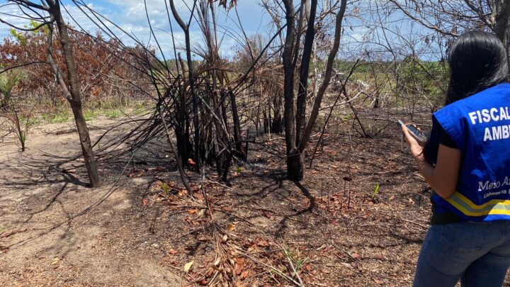 Secretaria de Meio Ambiente alerta população sobre cuidados para evitar incêndios em áreas de restinga