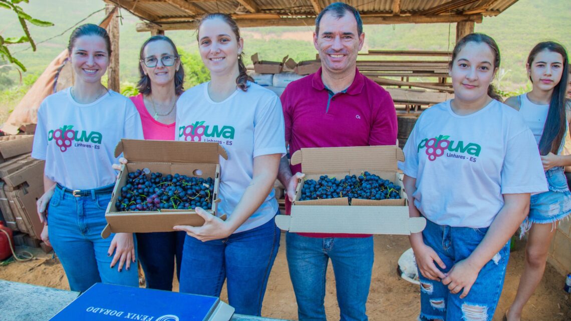 Festa da Colheita da Uva foi um sucesso em São Rafael e visitas ao parreiral são encerradas